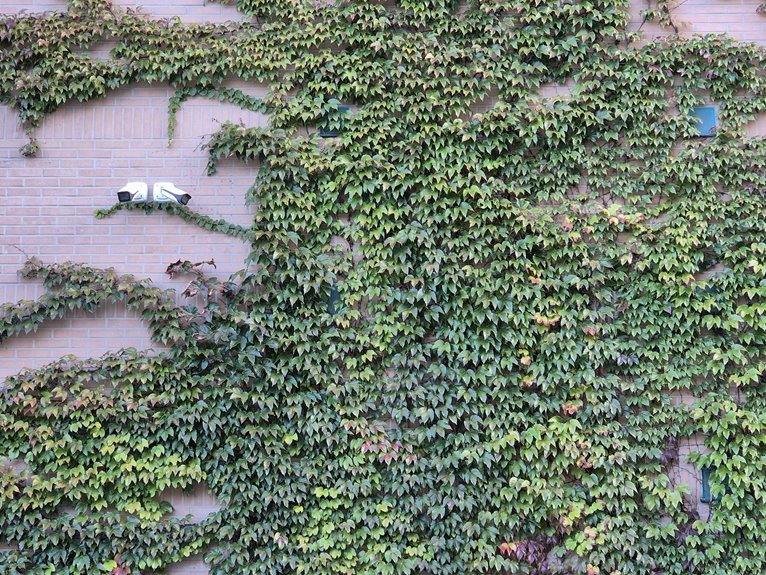 security monitoring contact numbers