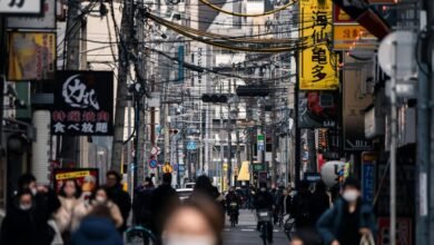 market dynamics analysis report