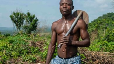 enhance growth with digital tools